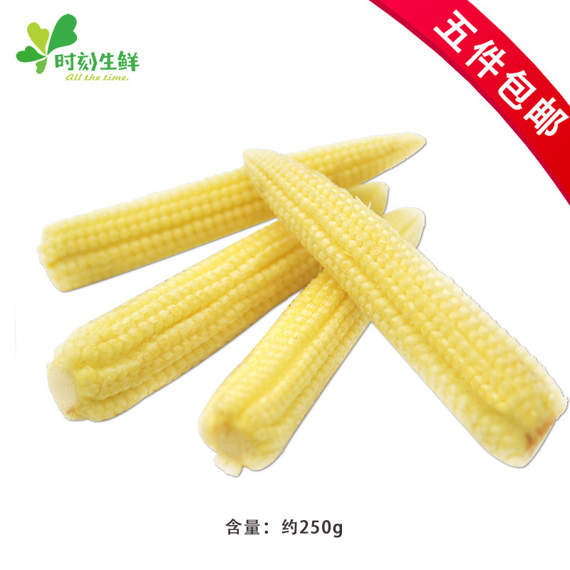 新鲜蔬菜 玉米笋  迷你甜玉米250g 江浙沪皖 酒店餐厅可食用蔬菜