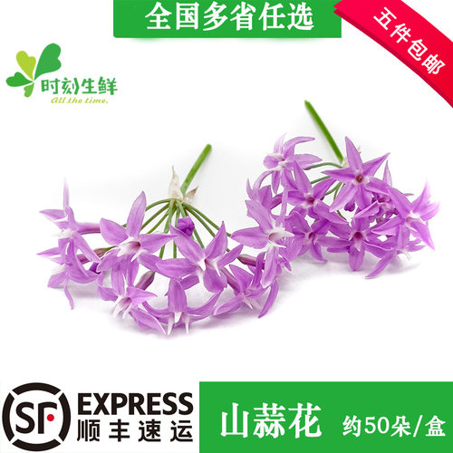 时刻生鲜新鲜花草酒店摆盘装饰