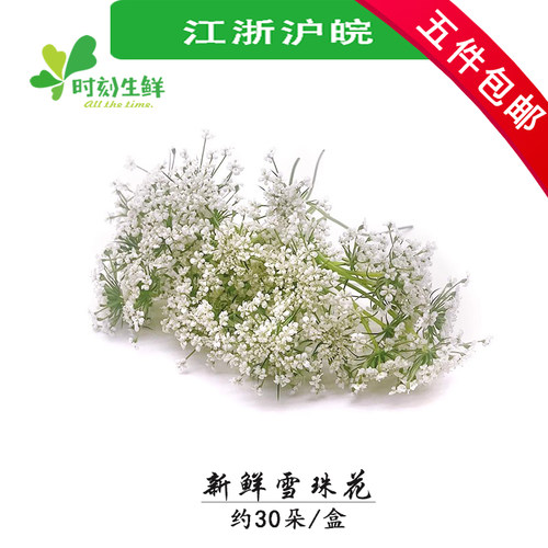 时刻生鲜花草酒店摆盘鲜花