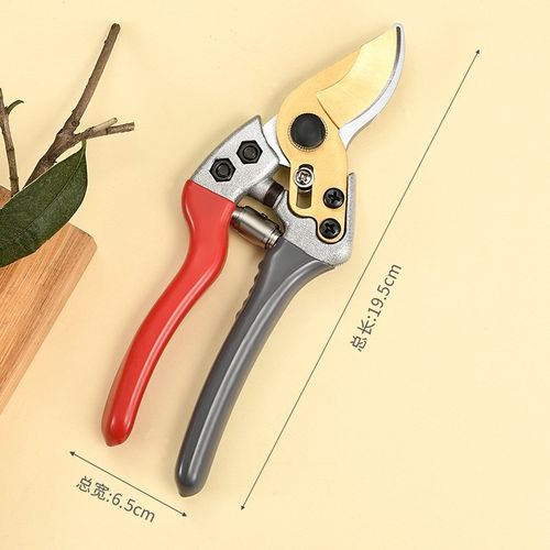 修枝剪园艺e剪刀花艺专用花剪花园花枝树枝粗枝园林果树剪枝剪