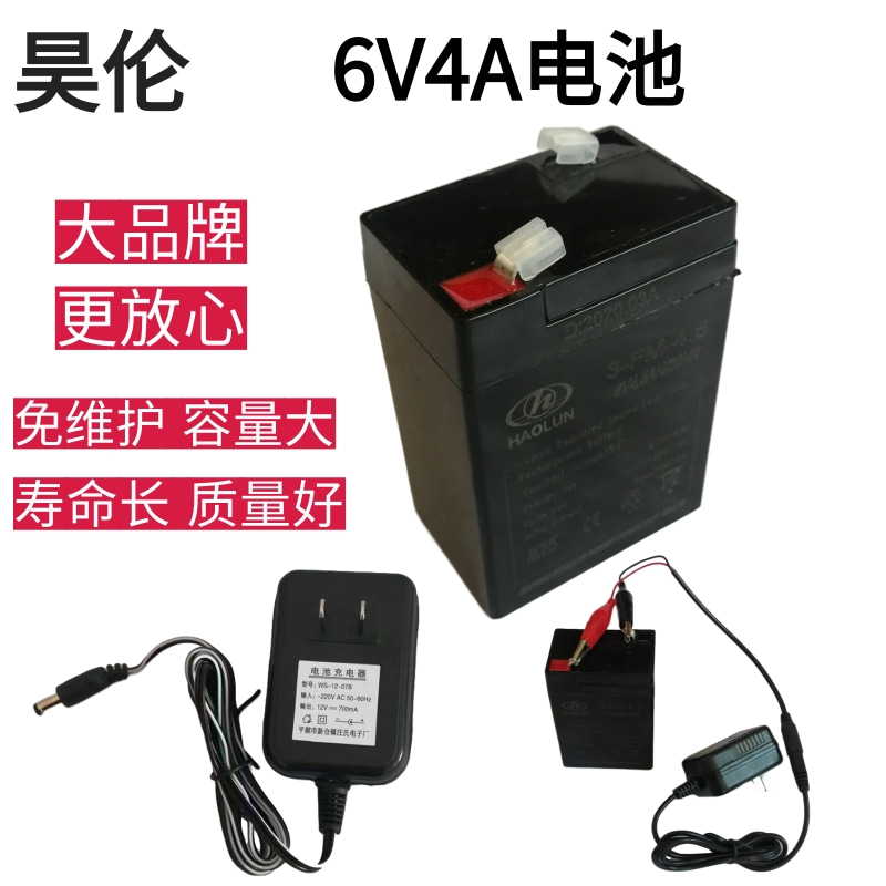 儿童玩具电动三轮汽车甲壳虫电瓶6V4A4.5AH5AH电子秤蓄电电池6付-封面