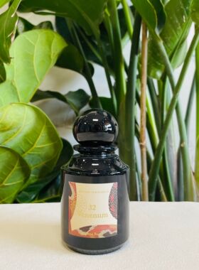 26号熄灯礼拜夜色依兰神秘玫瑰18冰川之地9神秘玫瑰2紫色香水小样