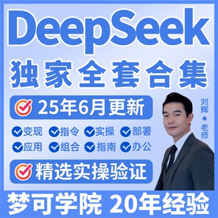 deepseek赚钱教程从入门到精通提示词网课永久会员电子版视频101