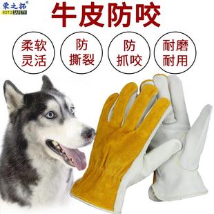 泰迪仓鼠宠物牛皮手套防猫抓狗咬蛇鹦鹉防蜂扎训犬喂狗防咬手套