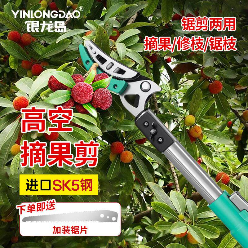 摘水果采摘枇杷花椒杨梅荔枝芒果摘果神器伸缩杆高空高枝修枝剪刀