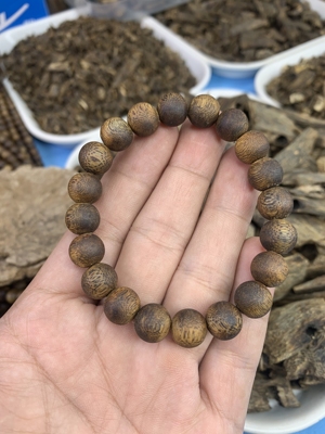 种植棋楠沉香高油1.0单圈