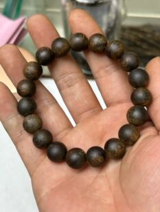 种植棋楠沉香1.1单圈沉水