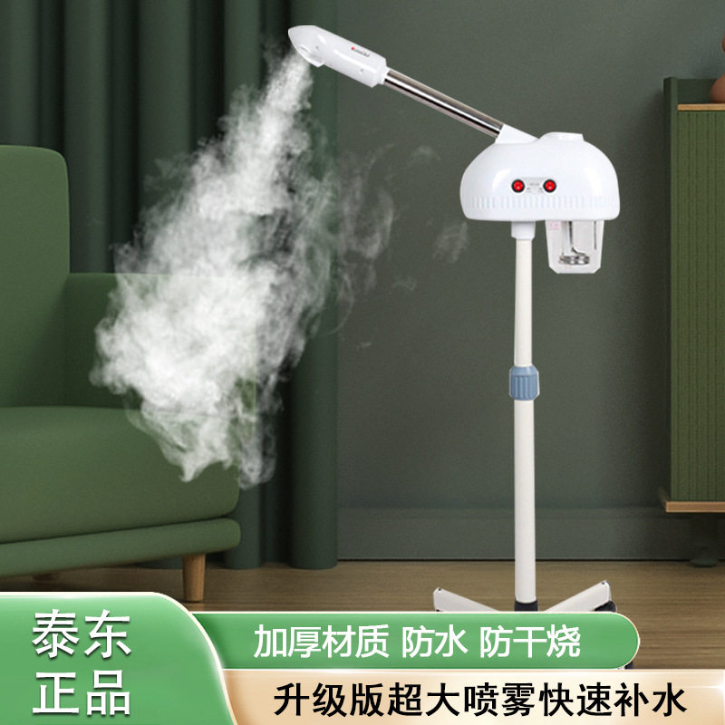 跨境专供冷热喷蒸脸器喷雾器补水仪双喷热喷家用冷喷机水疗仪批发