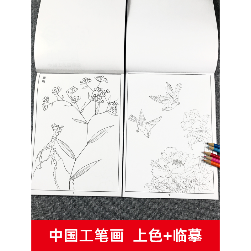 中国画白描儿童临摹画册初学者填色本手绘本山水国画套装