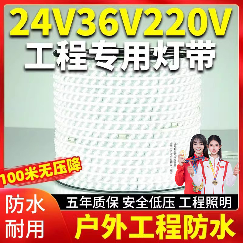 LED灯带24v36v220v卷100米室外防水工程工地下室隧道养殖照明灯条