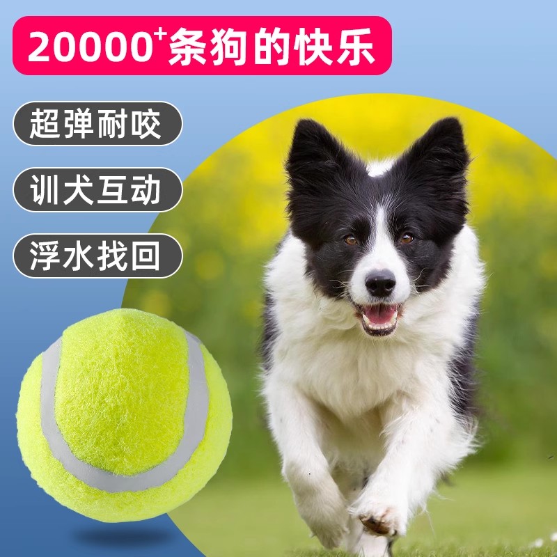 狗狗玩具球金毛泰迪弹力球耐咬磨牙网球宠物幼犬拉布拉多小狗训练