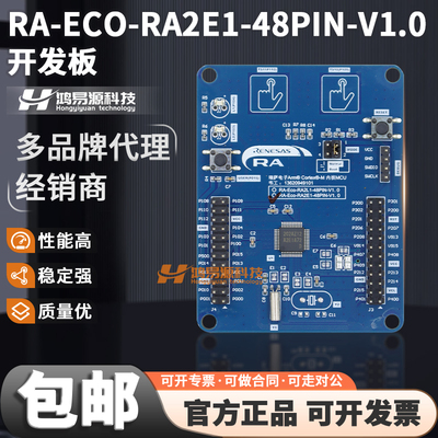 RA-ECO-RA2E1-48PIN-V1.0开发板