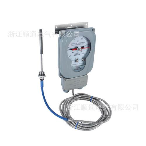 变压器用温度控器BWY(WTYK)-803ATH油面温控计BWY-802A
