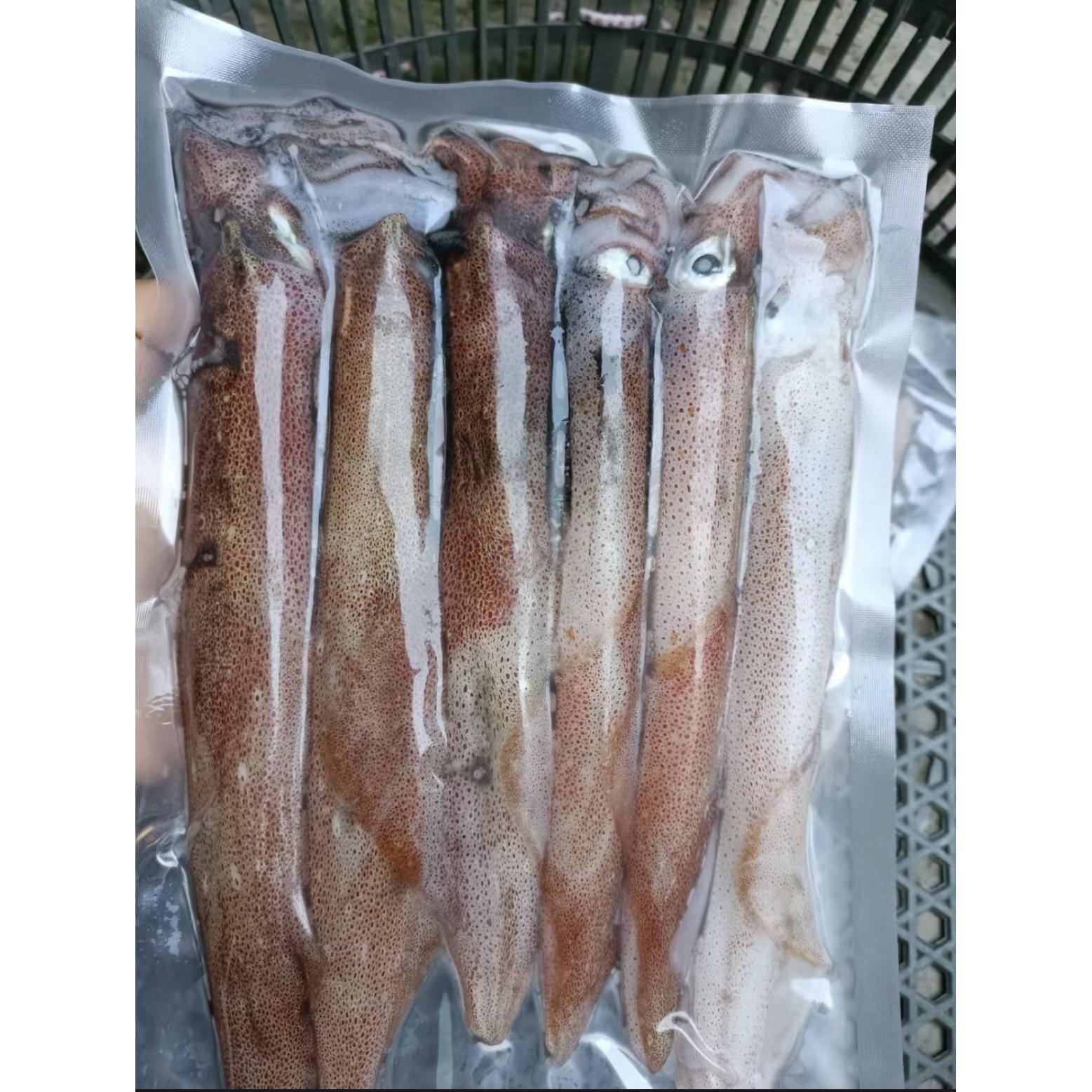 红管鱿钓口鱿新鲜活冻高端品质鲜鱿鱼船上活冻不缩水鱿鱼餐厅可用