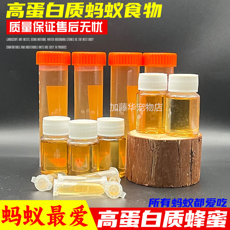 蚂蚁食物蚂蚁粮食蜜蜂蜂蜜昆虫收获蚁食物蚁后食物昆虫食物弓背蚁