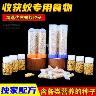 蚂蚁食物收获蚁吃的食物工匠收获蚁针毛收获蚁原生收获蚁种子包邮