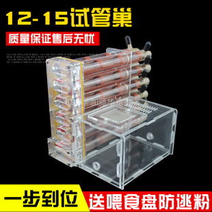 1218试管巢蚂蚁巢蚁后平面巢石膏巢蚁后收获巢穴大头蚁弓背蚁猛蚁