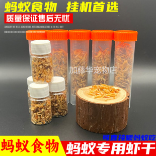 蚂蚁食物蚁粮虾干收获蚁种子营养液蛋白质宠物食物3D打印石膏蚁巢