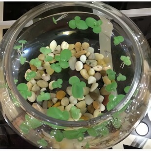 仿真浮萍 塑料带根浮平 水草 鱼缸水草 水面装饰 飘浮假草莲花