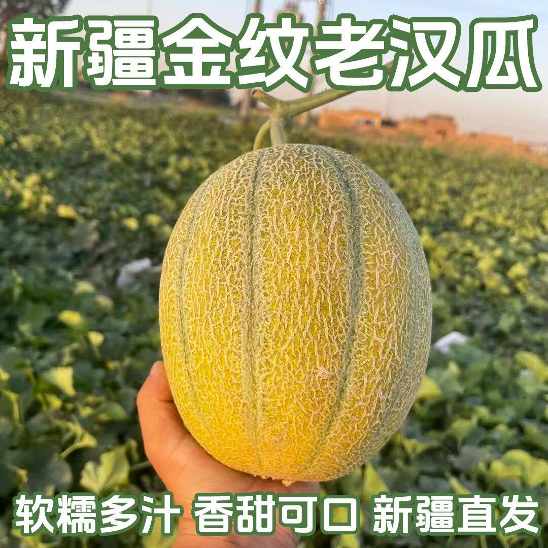 【新疆直发顺丰】金纹老汉瓜软糯香甜绵软多汁冰淇淋瓜新鲜甜瓜