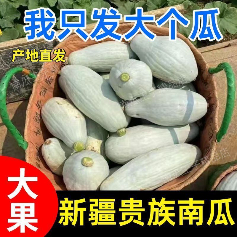 【新疆直发】贵族南瓜贵妃南瓜正宗粉糯香甜非贝贝南瓜丑南瓜包邮