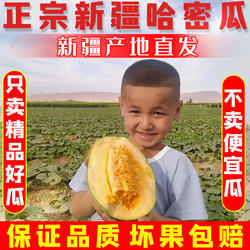【新疆直发】新疆哈密瓜原产地发货吐鲁番西州蜜蜜瓜25号新鲜水果