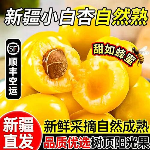 【2026现摘现发】正宗新疆特产小白杏子新鲜当季孕妇水果产地直发
