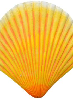 玻璃钢海豚海螺贝壳雕塑鲸鱼摆件园林景观海洋主题沙滩装饰品