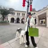 Универсальная модная сумка на одно плечо, с печатью вашего логотипа