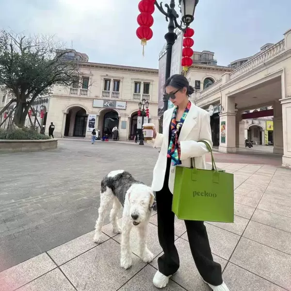 Товары от tb682471303