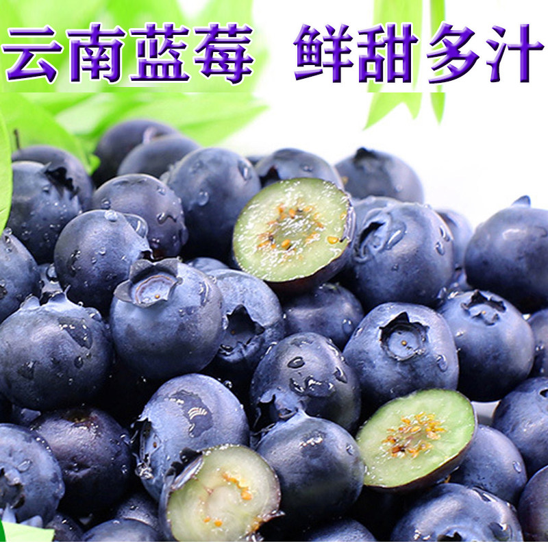 新鲜当季水果现摘现发云南蓝莓鲜果特大果整箱干非进口野生自家种
