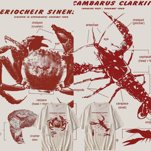 T恤纯棉宽松大码 男女夏季 复古小龙虾大闸蟹结构图短袖 极誉美式 潮
