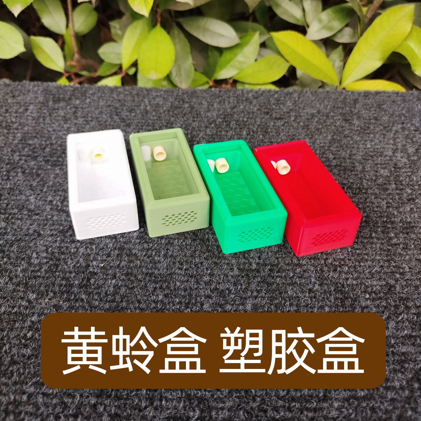 大黄蛉专用盒塑料鸣虫饲养盒虫具黄蛉盒蛉子蛉虫盒加湿器保湿
