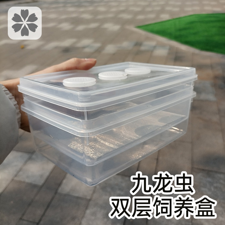 洋虫盒九龙虫饲养盒养殖箱