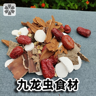 九龙虫饲料洋虫长寿虫食物宠物食材幼虫繁殖爬宠放心食材