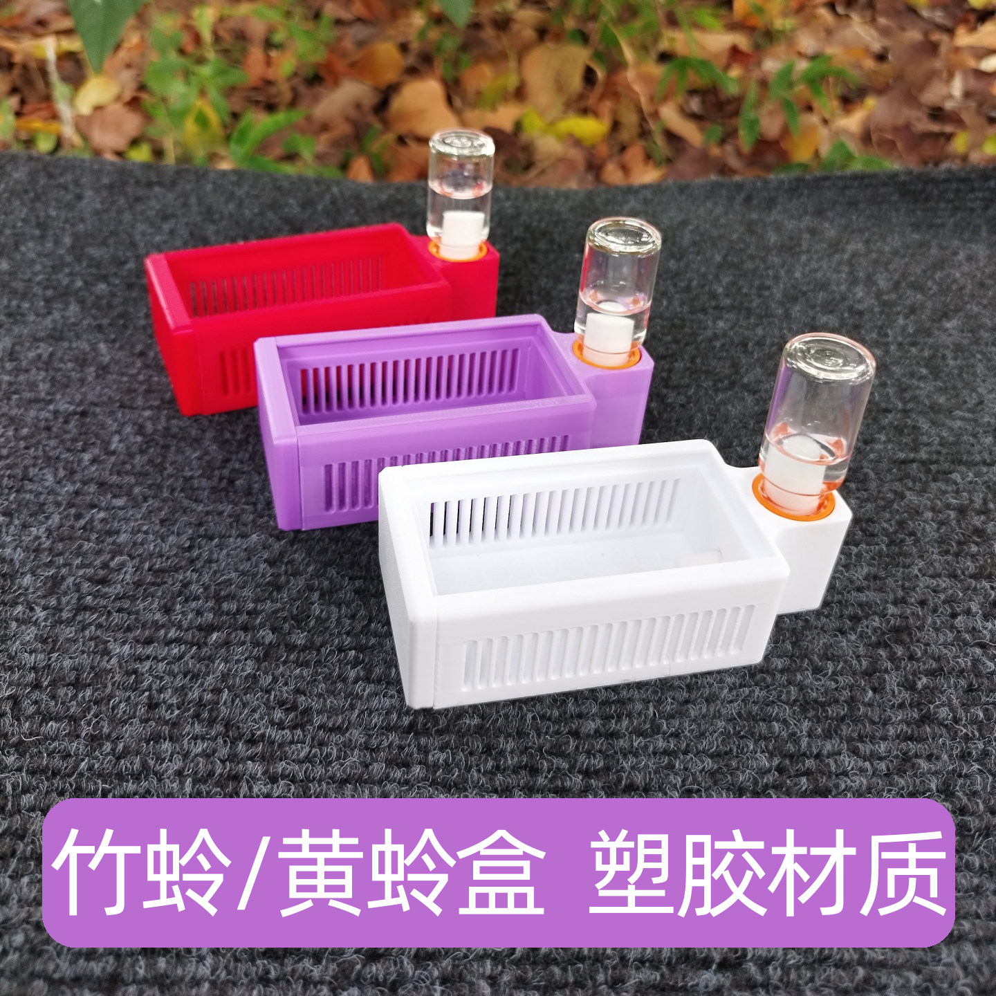 大黄蛉鸣虫盒家用饲养虫具 加厚塑料蛉虫盒新款养虫保湿盒子