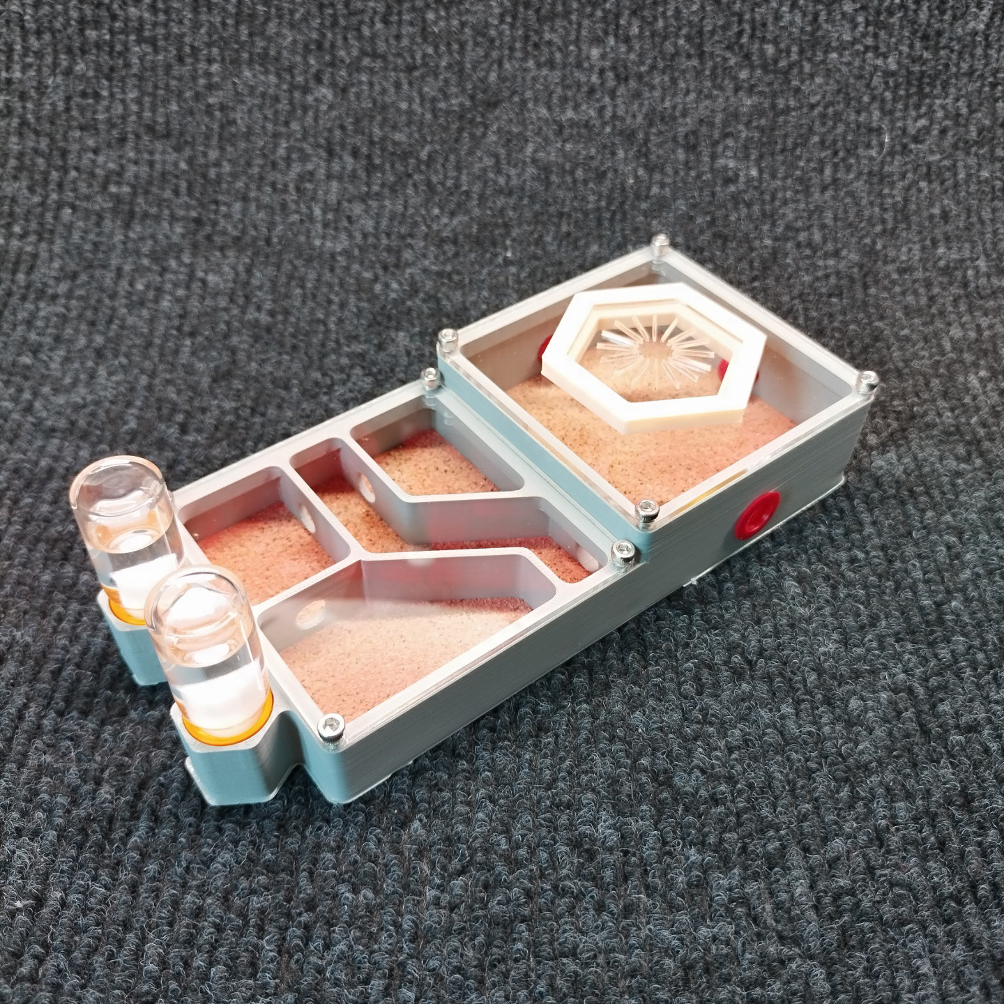 宠物蚂蚁生态巢3D打印大活动区