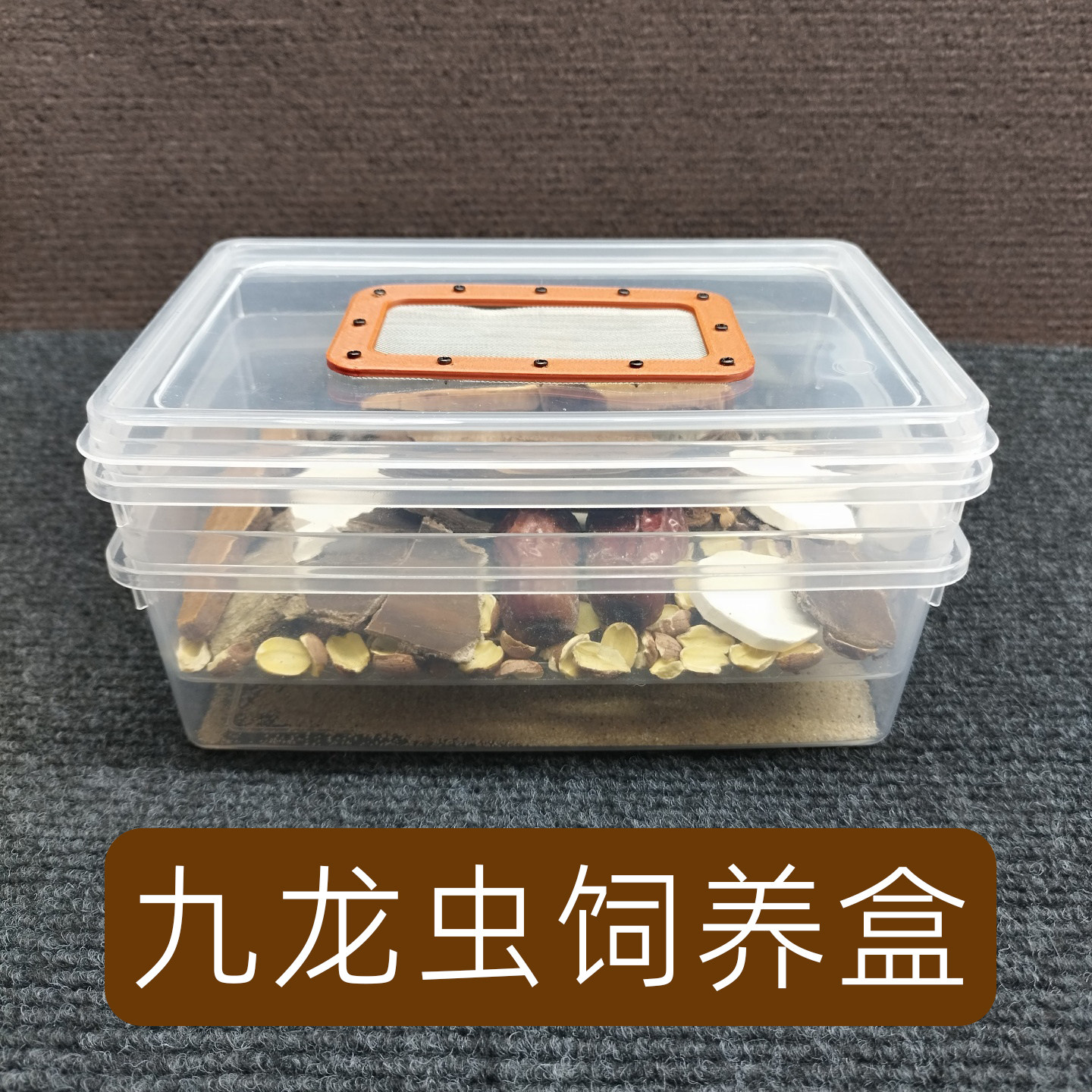 九龙虫饲养盒洋虫盒繁殖盒双层