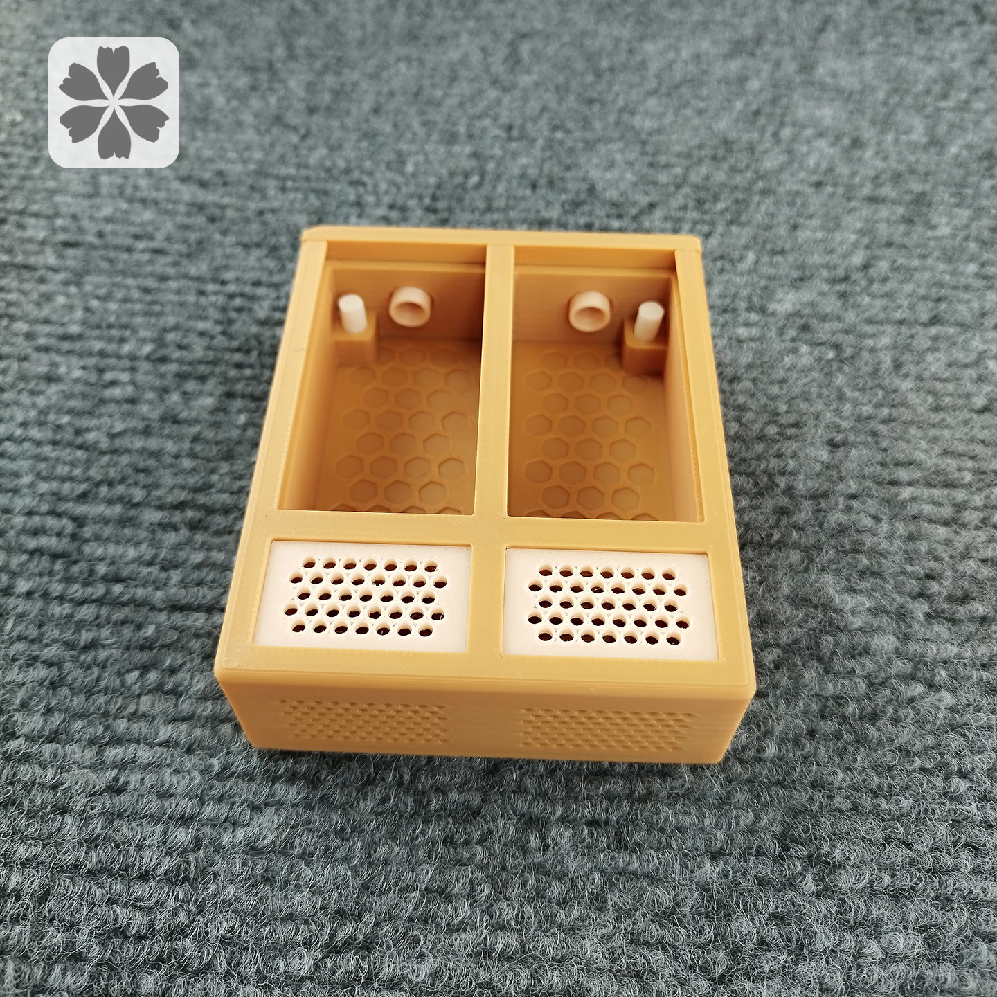 双格鸣虫盒带加湿保湿大黄蛉竹蛉图片
