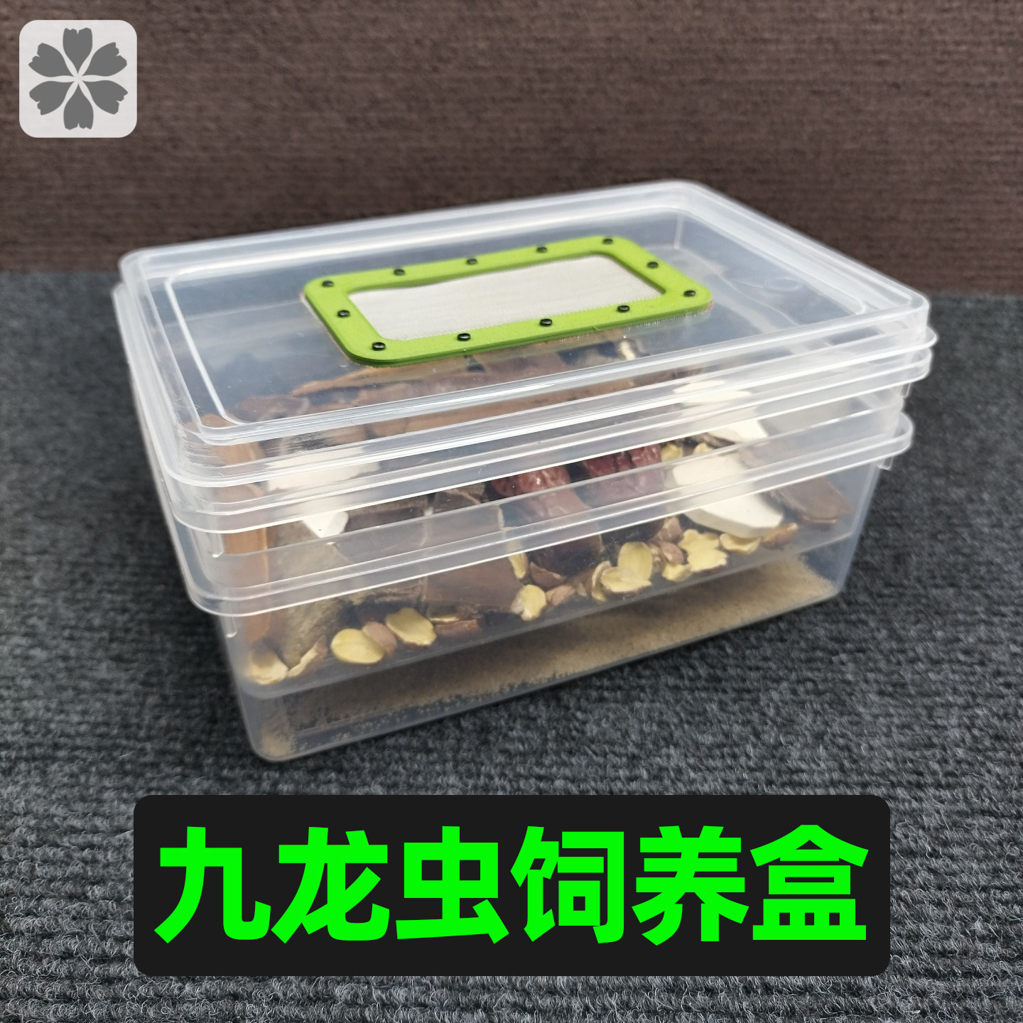 九龙虫饲养盒洋虫盒繁殖盒双层养殖箱透气养殖盒过滤粪便的盒子