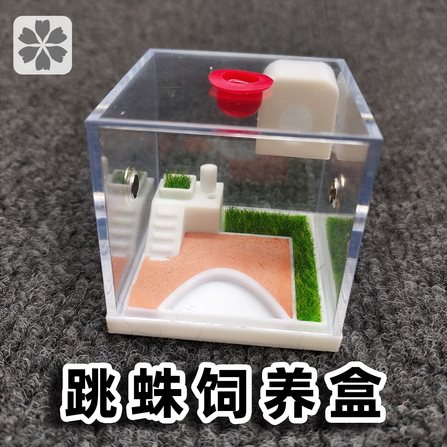 跳蛛蜘蛛饲养盒保湿盒爬宠养殖盒高透明宠物盒子草坪沙地造景