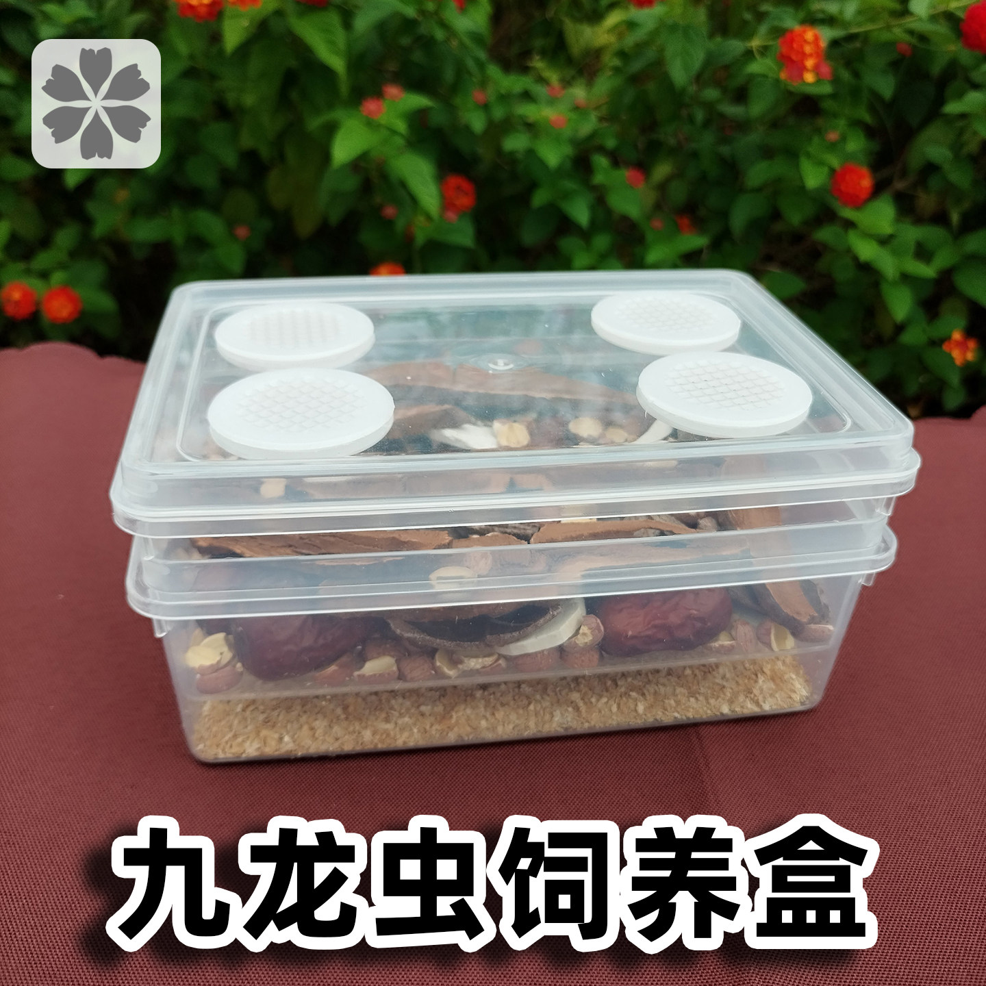 九龙虫饲养盒洋虫繁殖盒过滤粪便