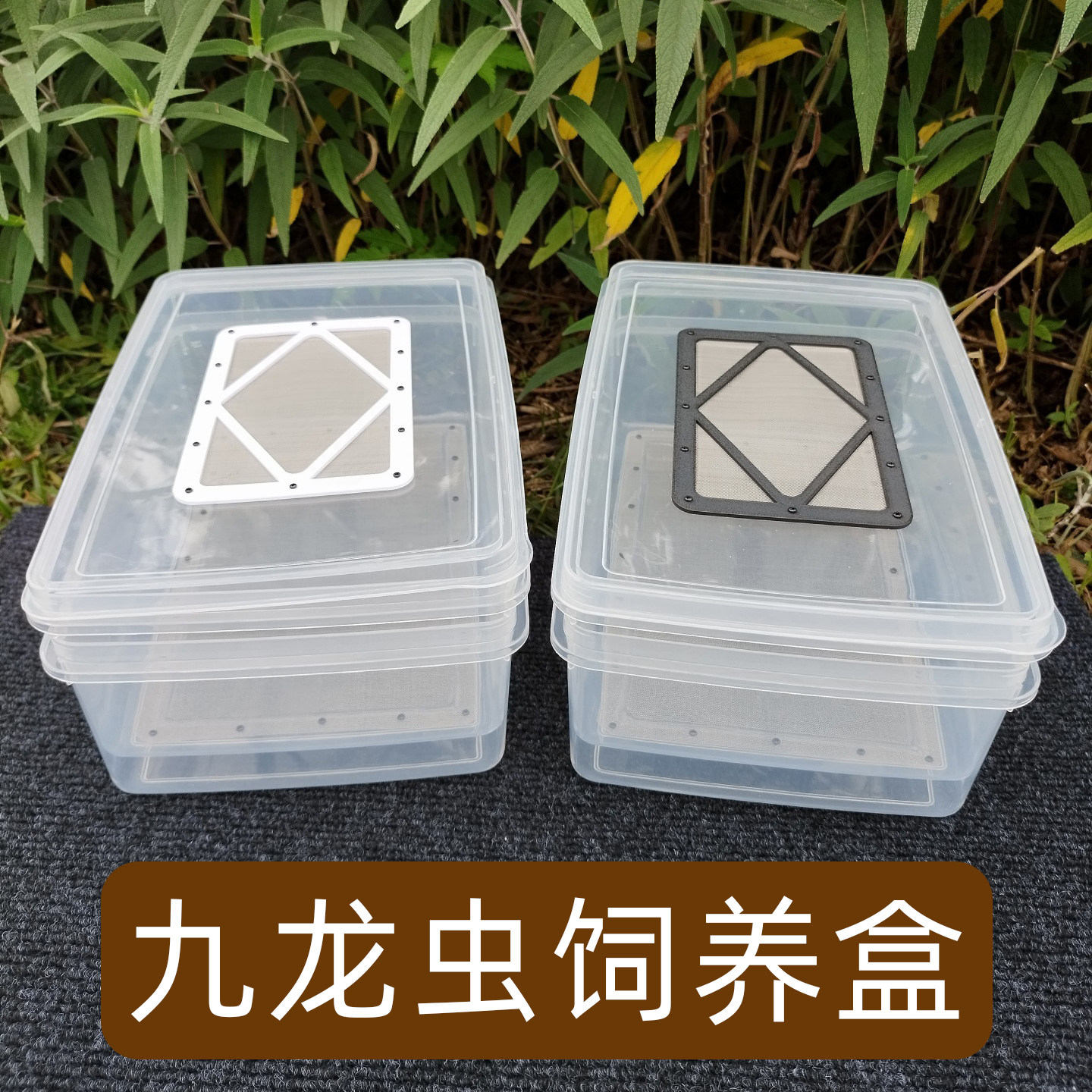九龙虫饲养盒洋虫盒细网过滤粪便