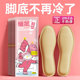 发热鞋 垫自发热 垫暖脚神器暖足贴保暖暖贴暖宝宝加热鞋 垫女款 暖鞋