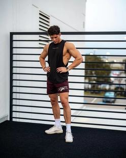 ALPHALETE坎肩 男子美式 健身训练背心 大开口 速干抗菌透气