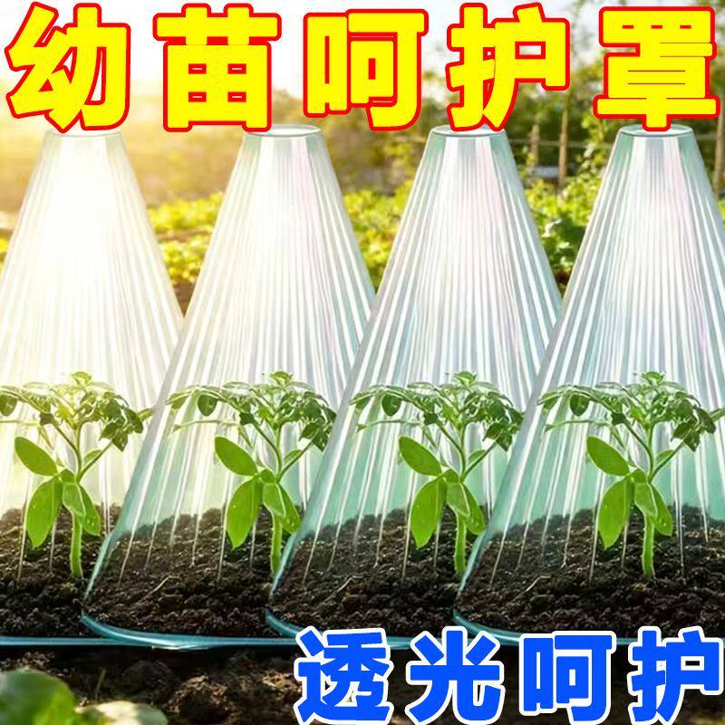 透明加厚育苗盘保温防虫防鸟罩