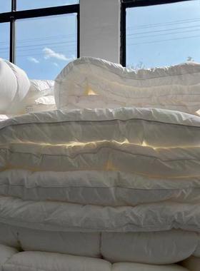 Hotel Cotton Duvet Insert Quilt Inner Comforter Core Double