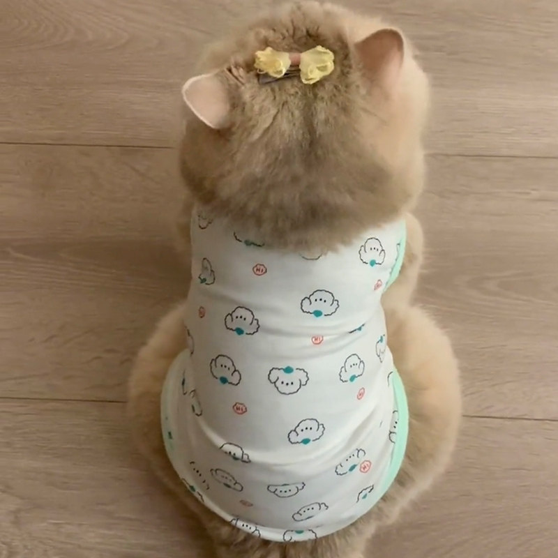 猫咪防掉毛衣服可爱ins金渐层英短布偶猫宠物小型犬猫猫夏天背心,宠物/宠物食品及用品,狗宠物服装/雨衣,淘宝优惠券,粉丝福利购,淘宝优惠卷