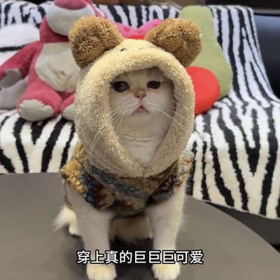 猫咪冬天衣服加绒加厚保暖可爱防掉毛金银渐层布偶猫英短蓝猫冬装