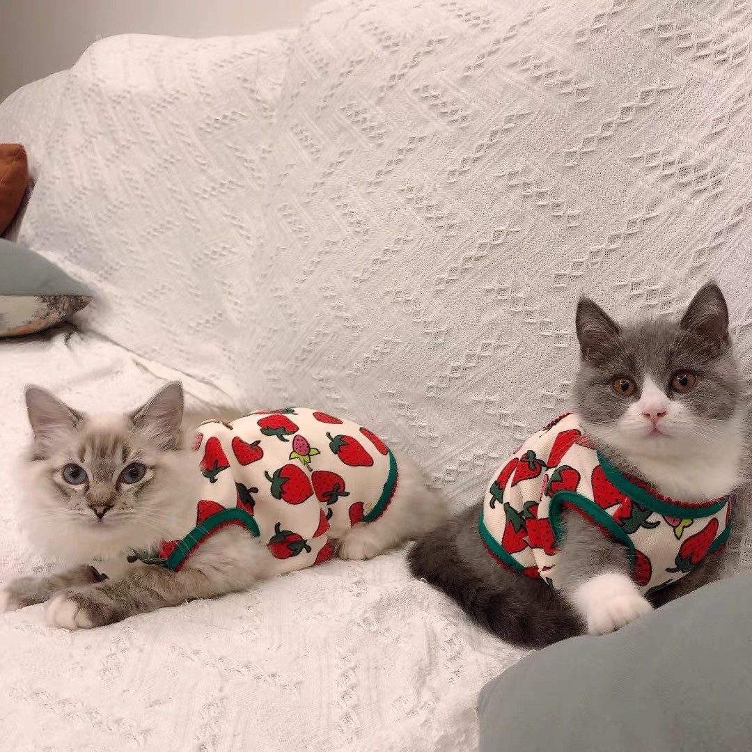 防掉毛薄绒背心两件减2元